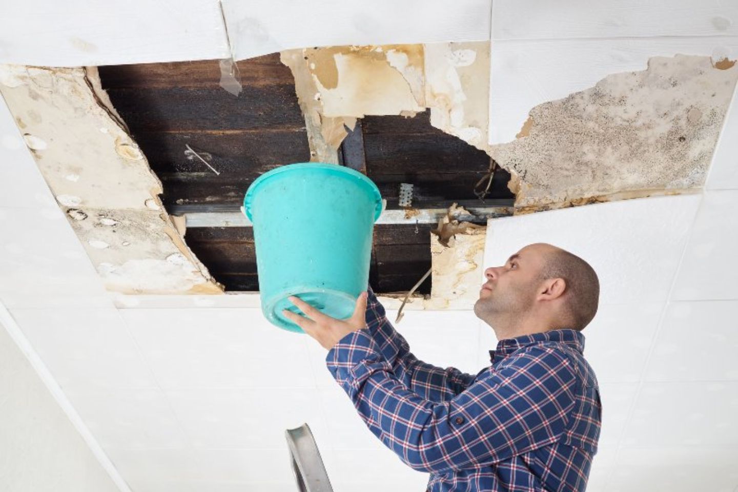 A man with a bucket positioned under a ceiling, showcasing HVAC mold removal service in Petersburg, FL.