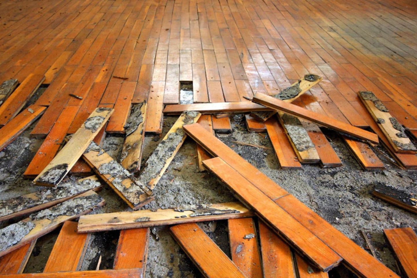 Damaged wood flooring with visible water stains and warping, emphasizing the importance of mold removal services in Petersburg, FL.