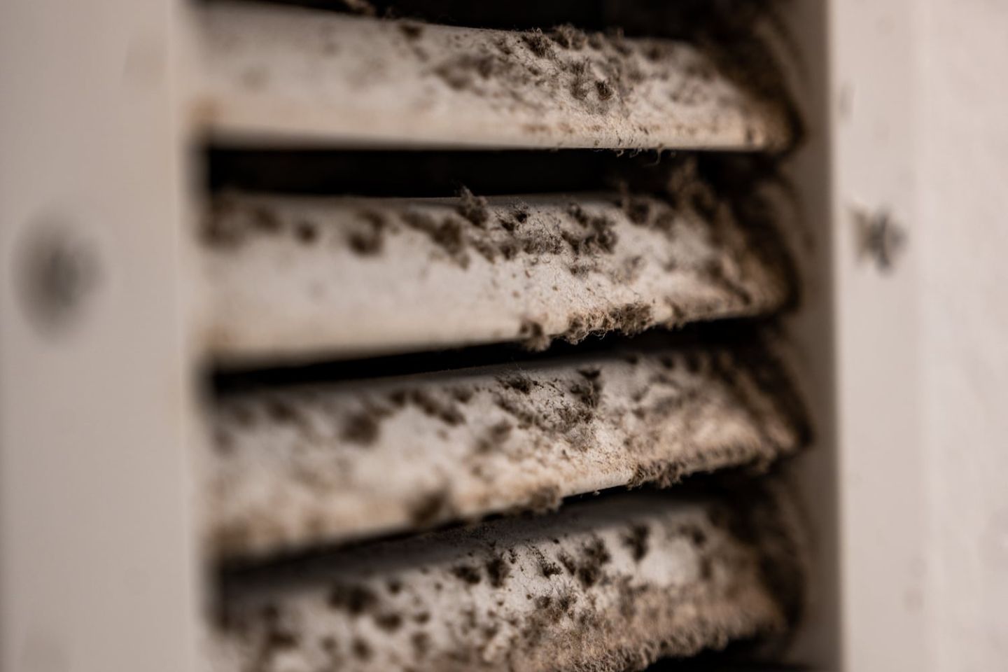An air vent with visible dirt buildup, illustrating the need for professional HVAC mold removal in Petersburg, FL.