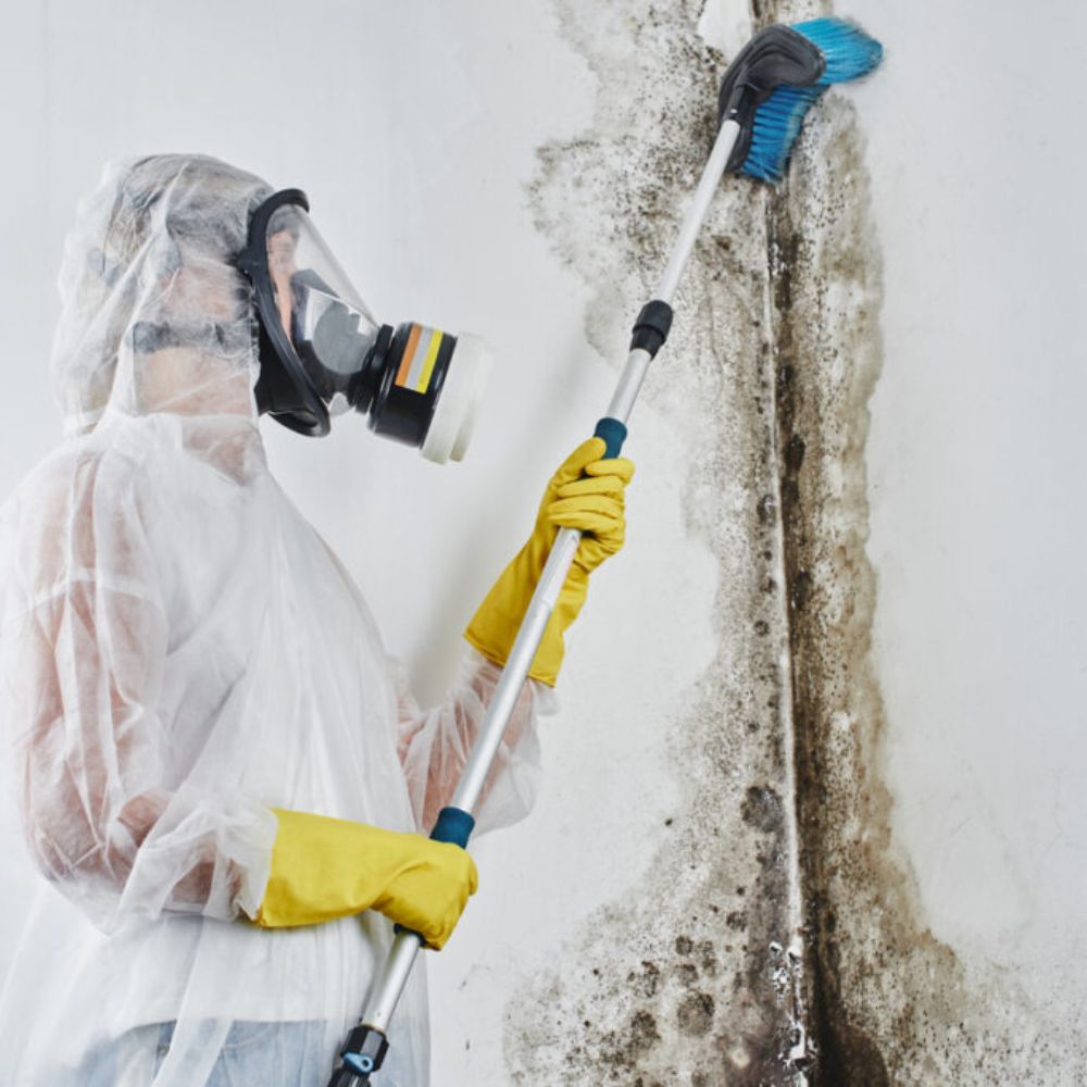 A man wearing a white protective suit and yellow gloves removes mold from a wall, part of a mold removal service in Petersburg, FL.