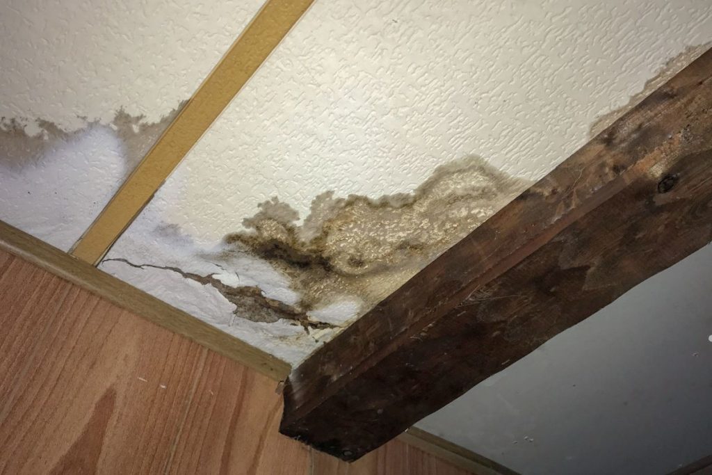 Mold and water damage visible on a ceiling, with dark stains and a crack, alongside a wooden beam and wooden paneling.