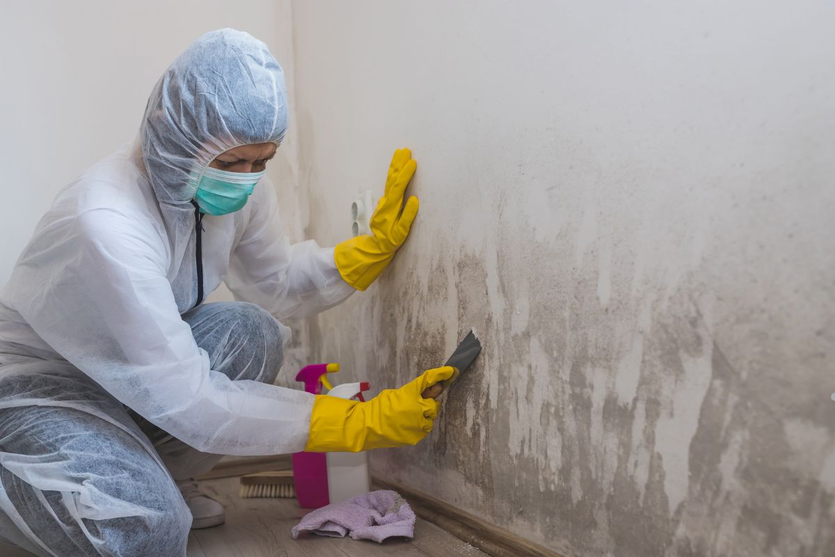 A person in protective gear scrapes mold from a damp wall, surrounded by cleaning supplies and a towel on the floor.