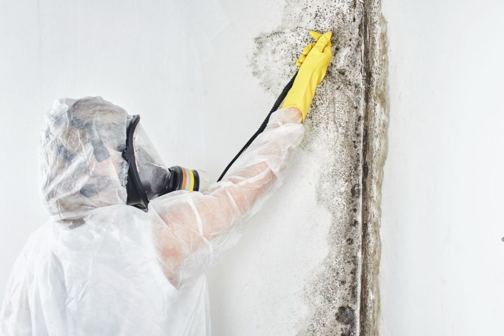 A person in protective gear scrubs mold off a wall, wearing a mask and gloves, highlighting a mold remediation effort.
