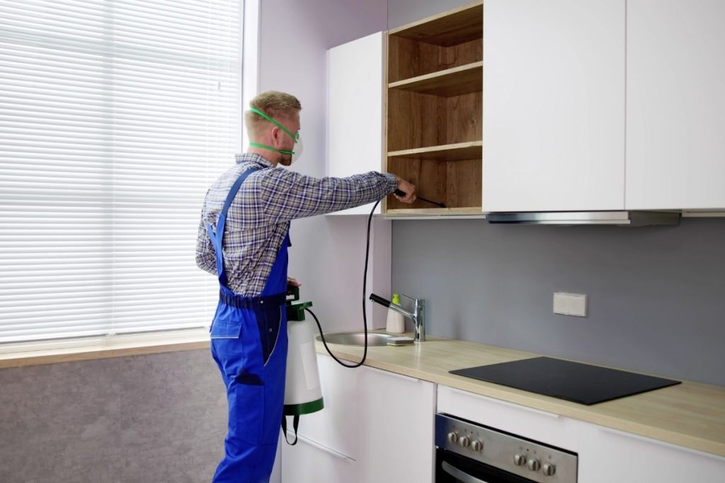 A man in overalls uses a sprayer to apply a coating in a kitchen, focusing on the walls and cabinets.